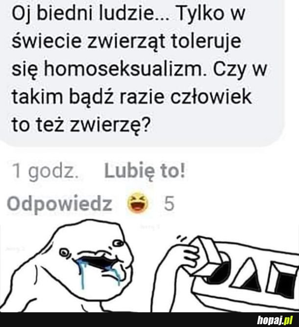 Ja skłaniam się ku teorii, że człowiek to grzyb 