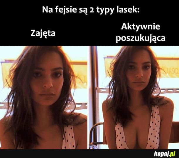 2 typy lasek 