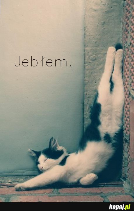 Jebłem...