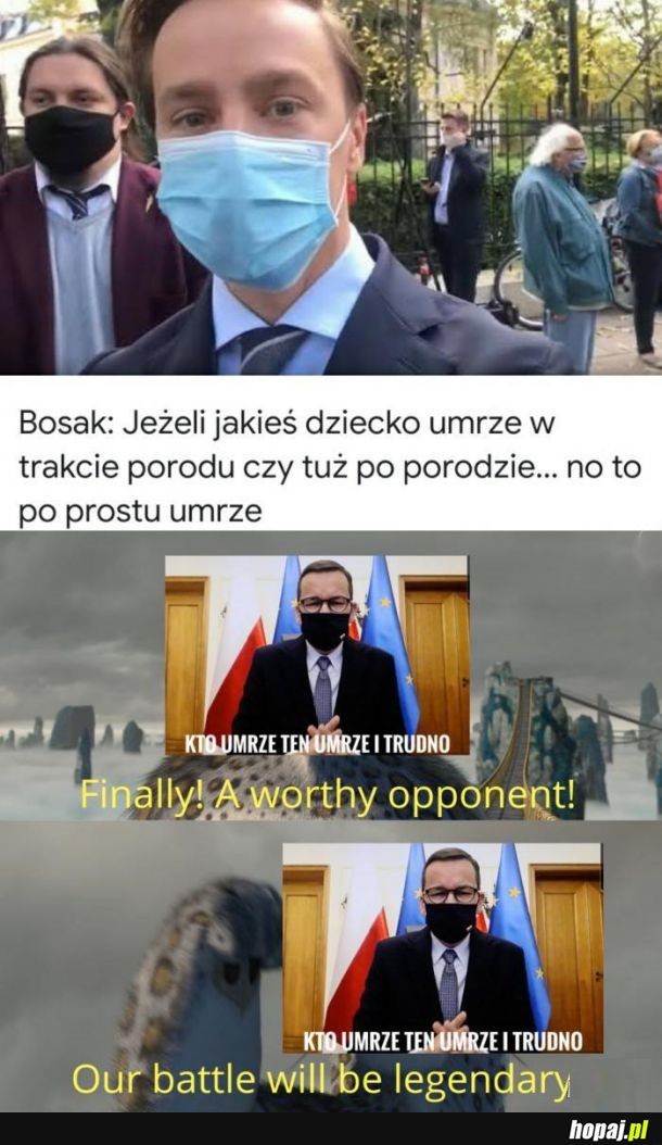 Bosak vs Morawiecki