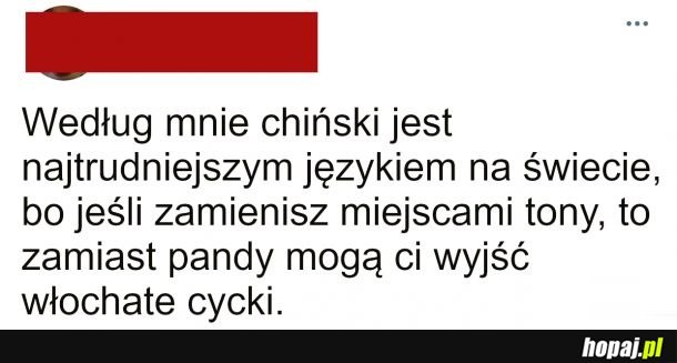 Chiński język