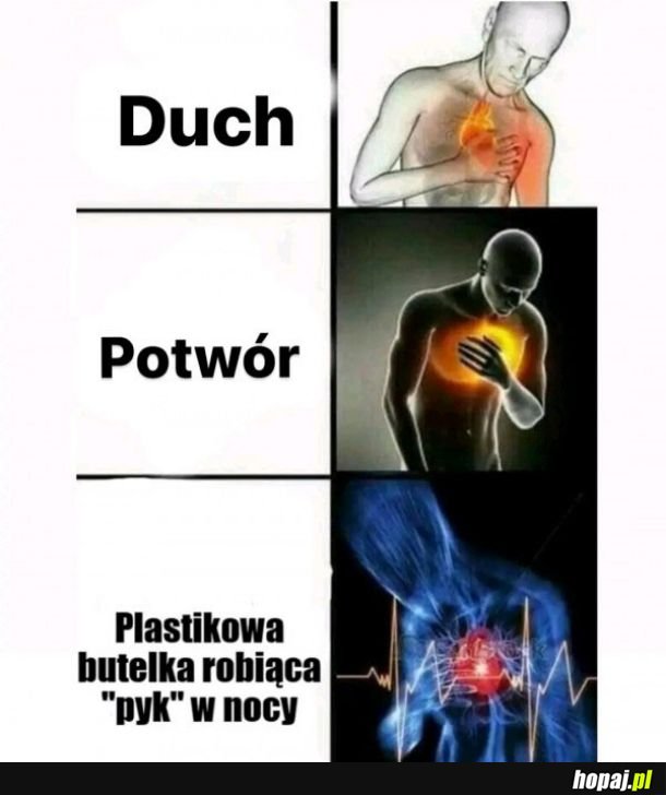 Zawał