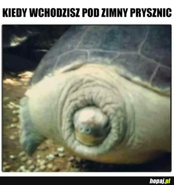 FACECI ZROZUMIEJĄ