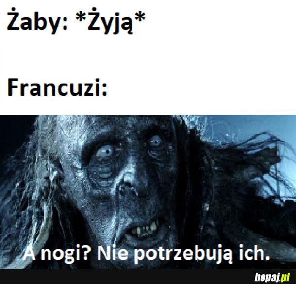 Biedne stworzonka.