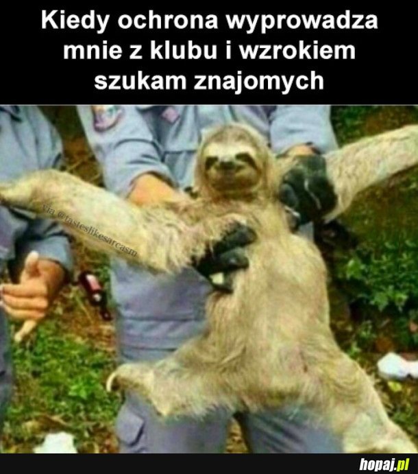 TAK TO WYGLĄDA