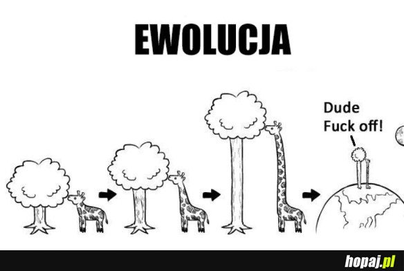 EWOLUCJA