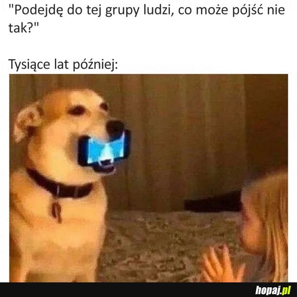  Co może pójść nie tak? 