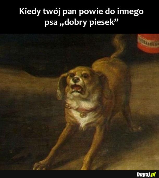 Człowieku jak możesz