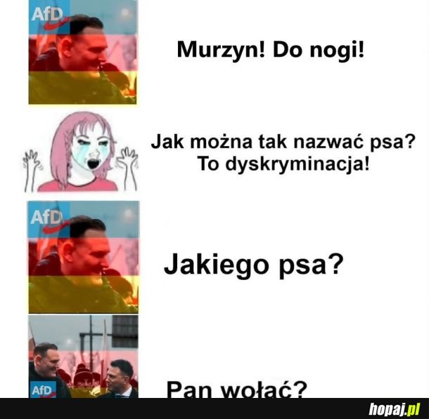 Najbardziej propolska partia :D