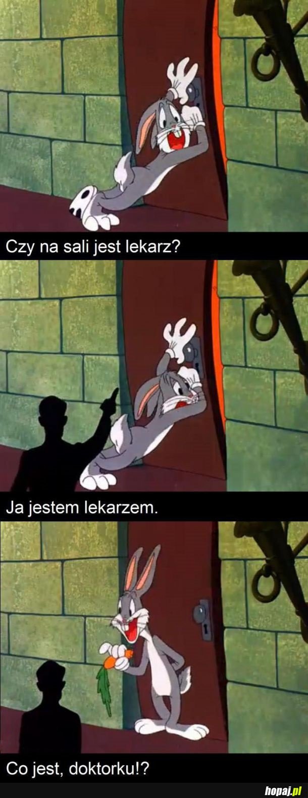 Lekarz