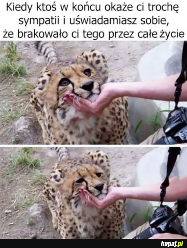 Większości tego brakuje