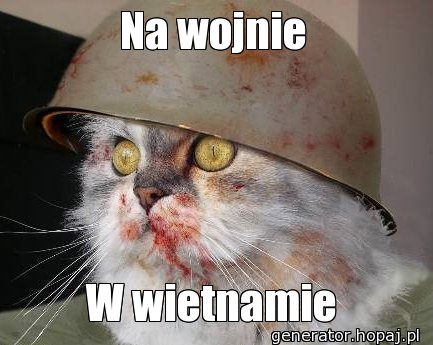 Na wojnie