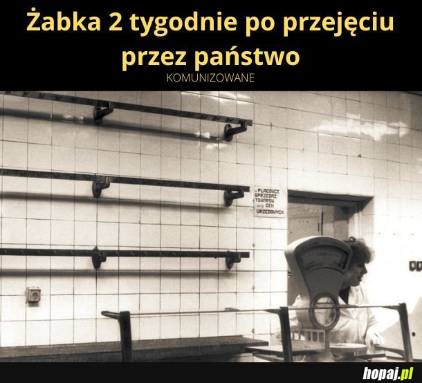 Żabka 