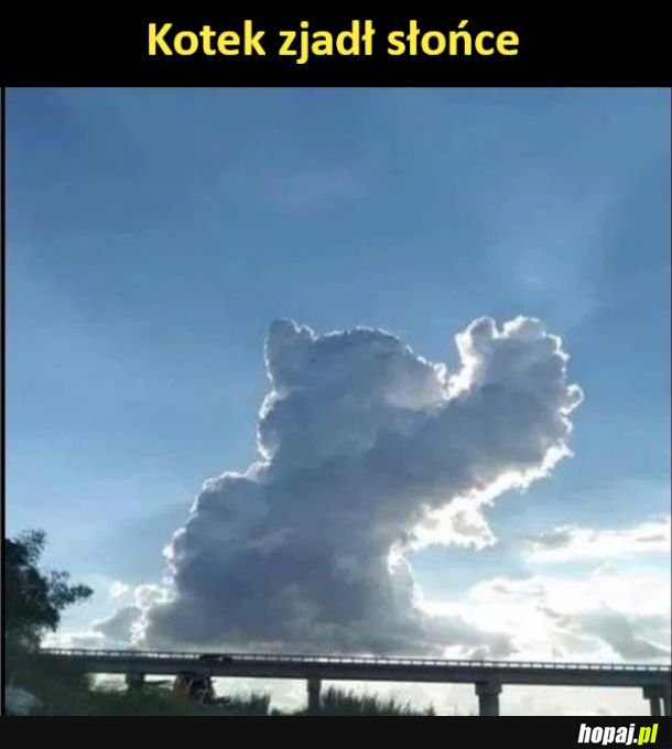 Koteczek