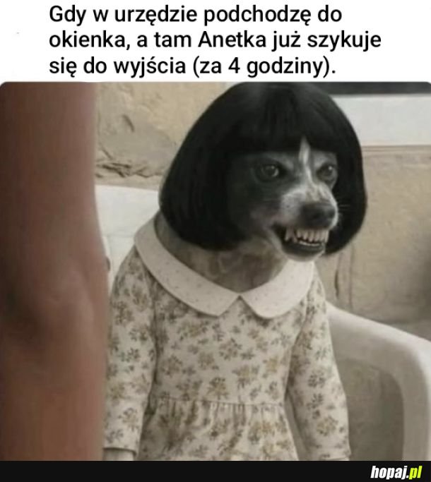 Bezczelność