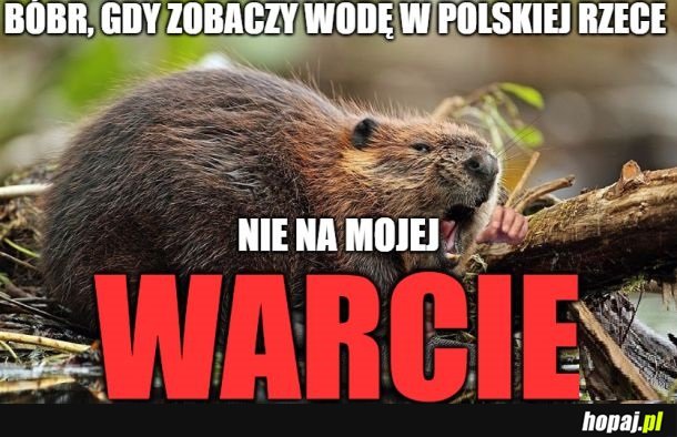 Bo wiecie, nazwa rzeki