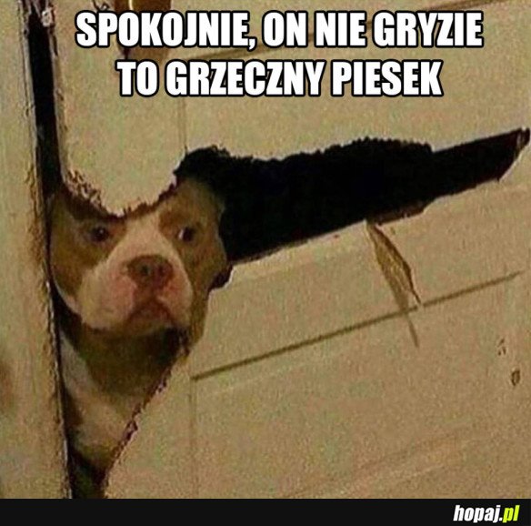 ILEŻ RAZY JA TO W ŻYCIU SŁYSZAŁEM