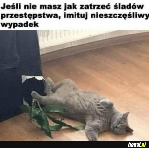 A co to się stanęło