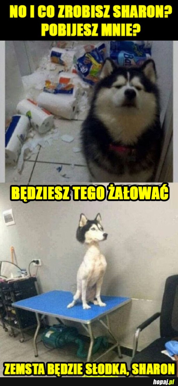 UWAŻAJ Z KIM ZADZIERASZ