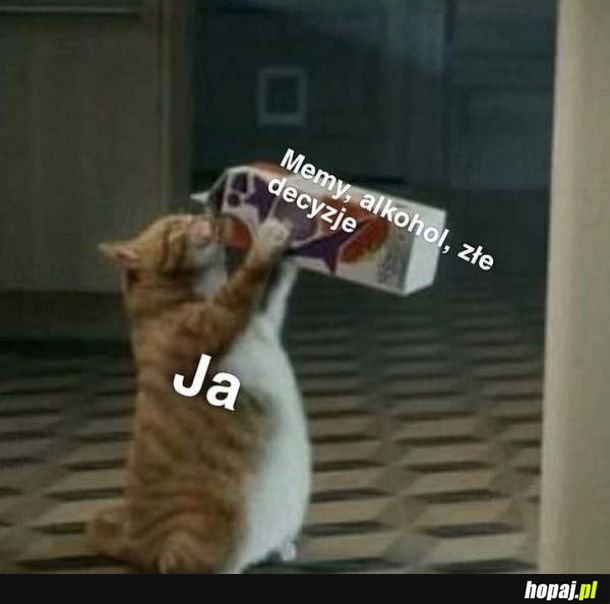 Memy, decyzje...