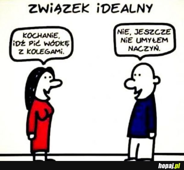  Związek idealny 