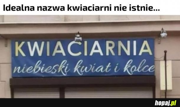 Byłoby łatwiej gdybym nie był daltonistą!