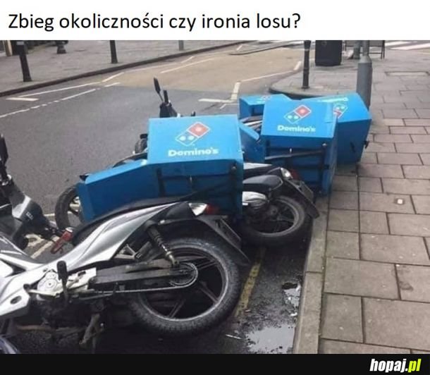 Domino