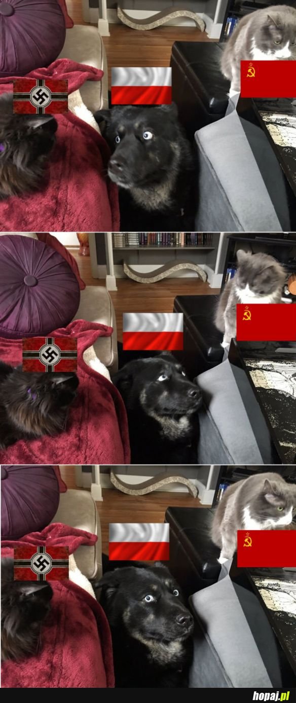 &quot;FUG :DDD&quot;