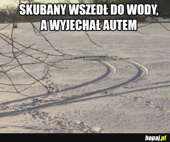 NIESAMOWITY GOŚĆ