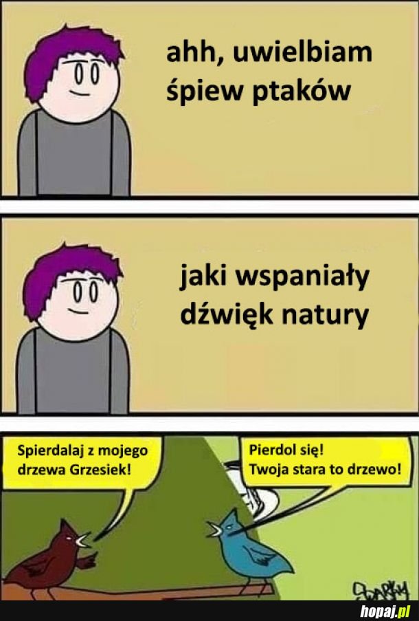 Piękny dźwięk natury