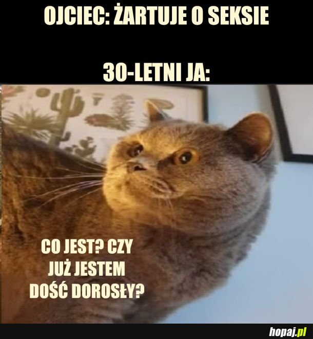 Jesteś godzien