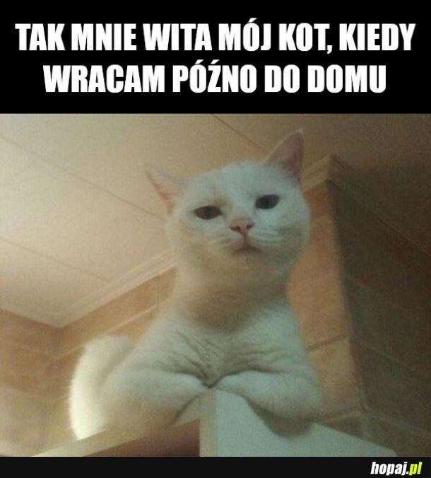  a o której to sie wraca