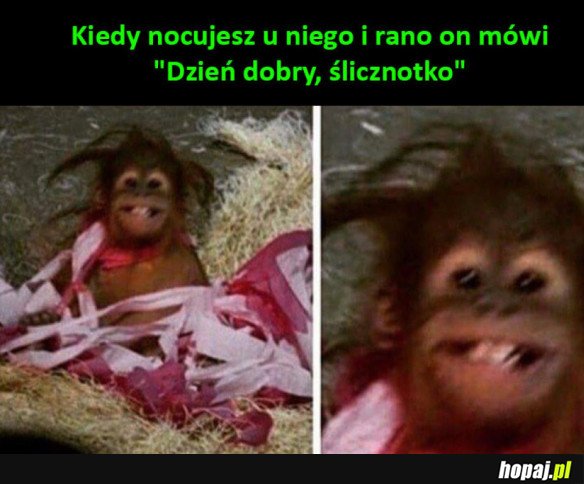 Kiedy nocujesz u niego...