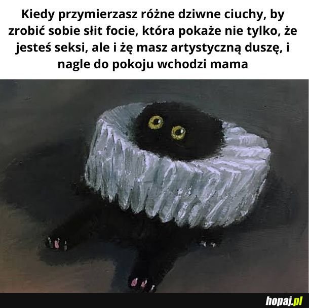 Artystyczna słit focia