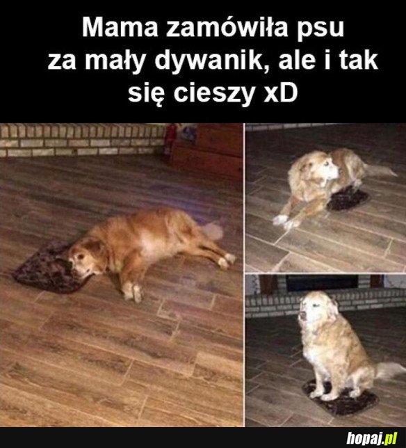 WIEM, ŻE CHCIAŁEŚ DOBRZE CZŁOWIEK