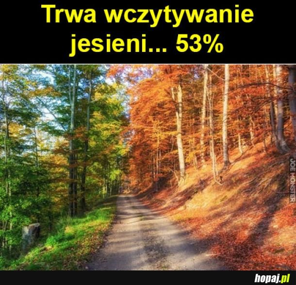 Kto lubi tę poręroku?