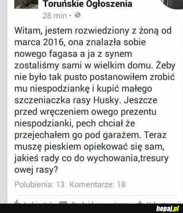 KTOŚ POMOŻE?