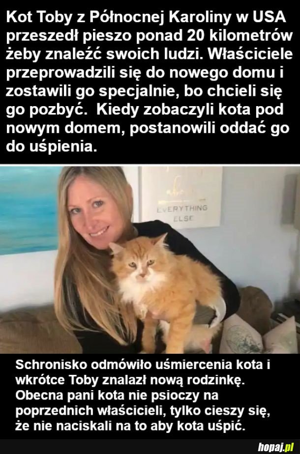 Fajni ci ludzie