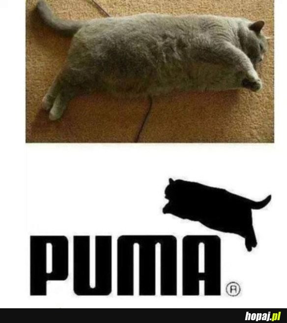 PUMA 