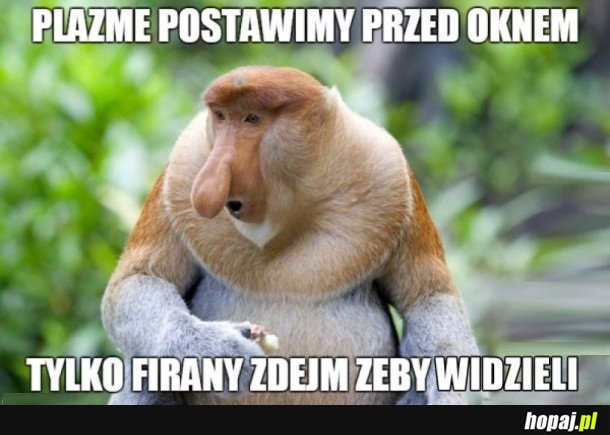 TYPOWY JANUSZ