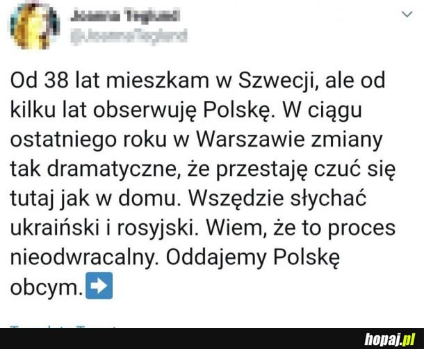 Polska emigracja w pigułce 