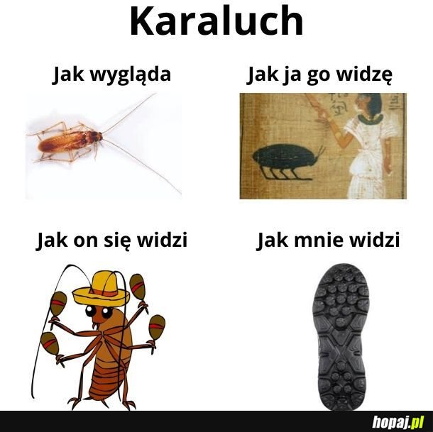 La cucaracha