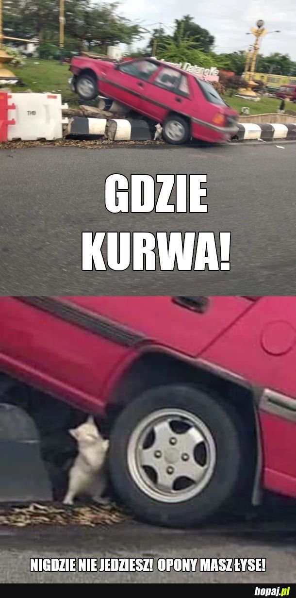 Stój