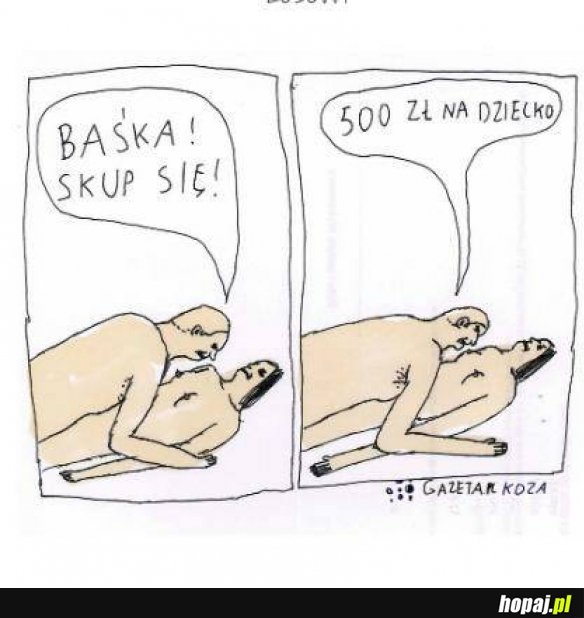 Hajs