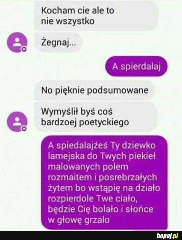 Poetyczne zerwanie 