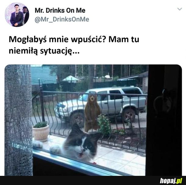 Mogłabyś?