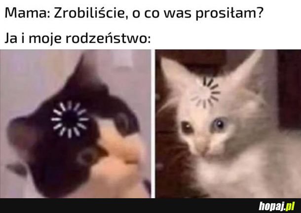 Ale o co chodzi