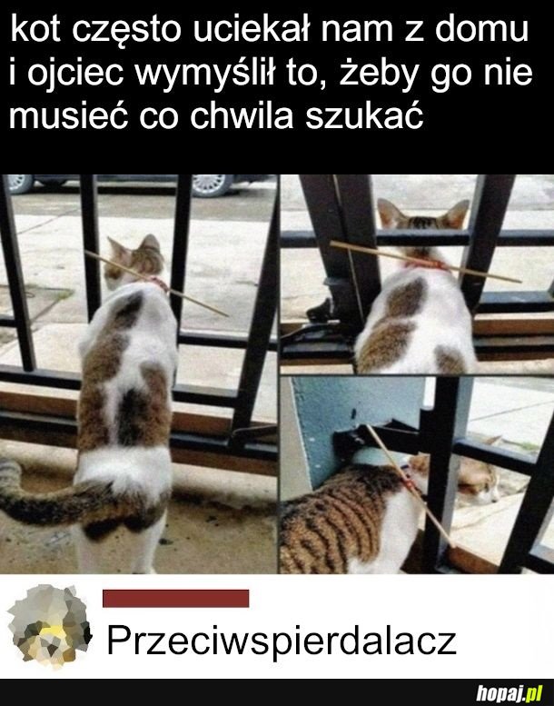 Ogarnięte na eleganckości
