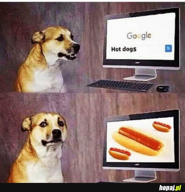 Hot dogs