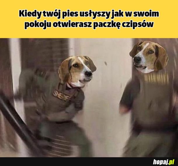 Szelest paczki